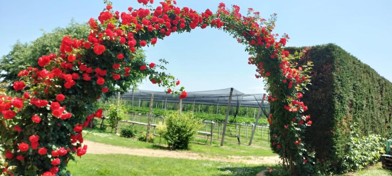 Agriturismo Fondo Novelle La Casina Ferrara Exteriér fotografie