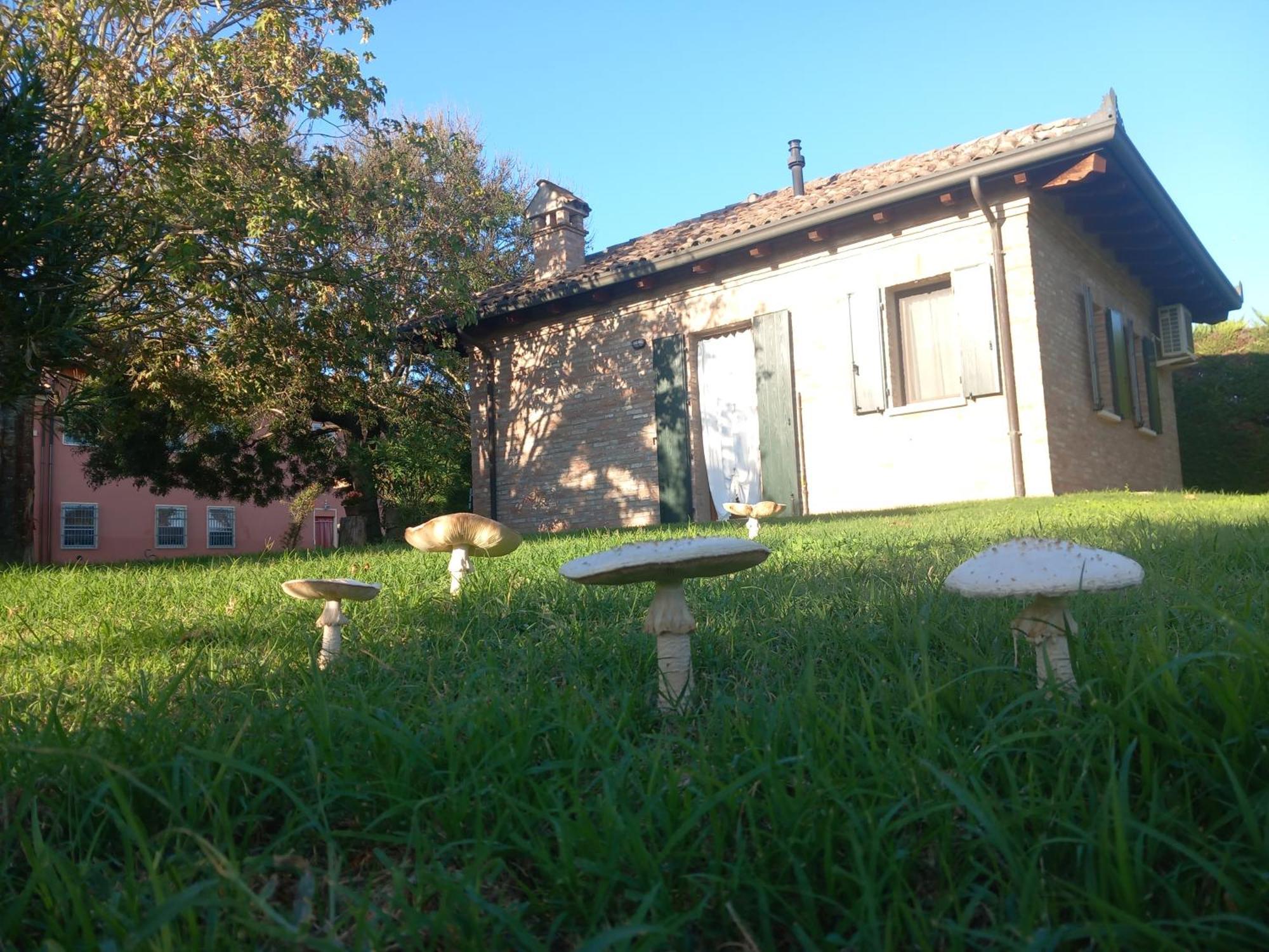 Agriturismo Fondo Novelle La Casina Ferrara Exteriér fotografie